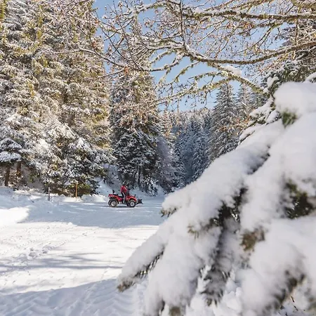 House Rogla Jurgovo A Skiin Skiout Riverside Apartman *
