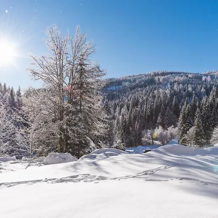 House Rogla Jurgovo A Skiin Skiout Riverside Apartman Lukanja