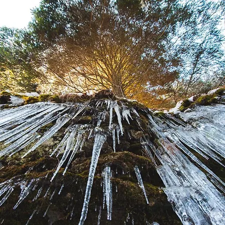 דירה Rogla Jurgovo - In Out Lukanja