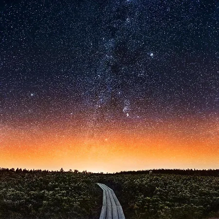 Rogla Jurgovo - In Out * Lukanja