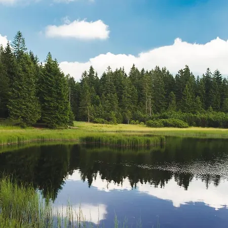 Rogla Jurgovo - In Out Lejlighed