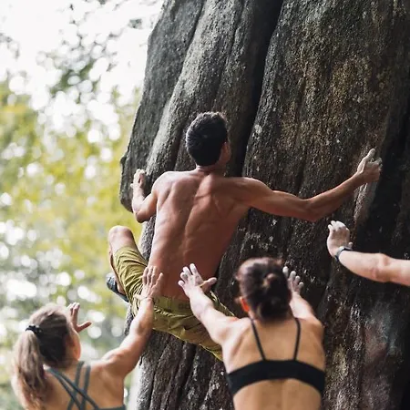 Rogla Jurgovo - In Out * Lukanja