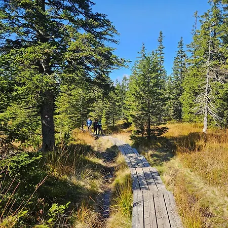 דירה Rogla Jurgovo - In Out Lukanja