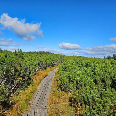 Rogla Jurgovo - In Out Lukanja