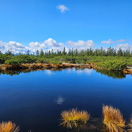 Rogla Jurgovo - In Out * Lukanja