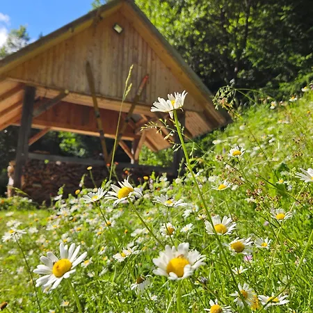 Rogla Jurgovo - In Out דירה
