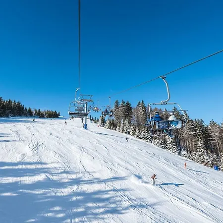 House Rogla Jurgovo A Skiin Skiout Riverside Lukanja