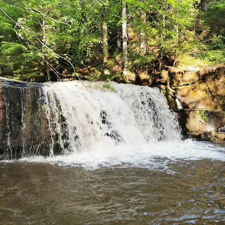 Rogla Jurgovo - In Out *