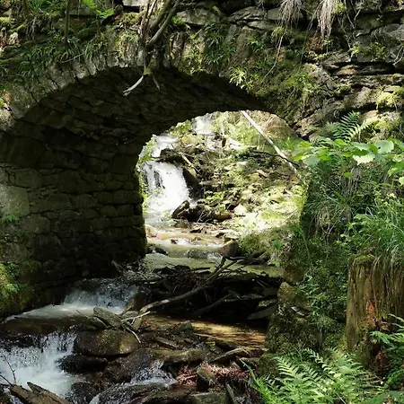 アパート Rogla Jurgovo - In Out