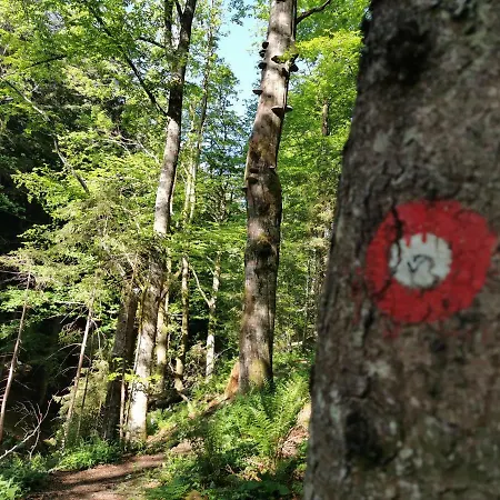 דירה Rogla Jurgovo - In Out Lukanja