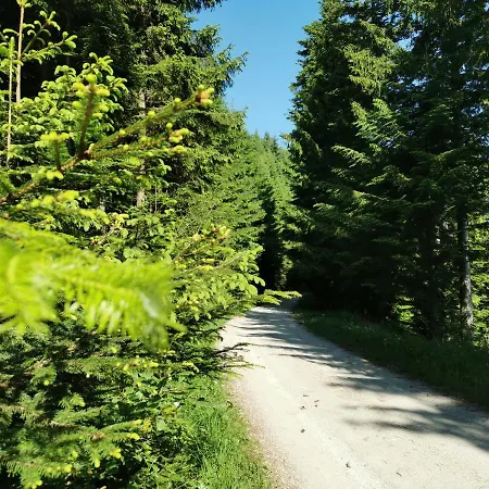 Appartamento Rogla Jurgovo - In Out Lukanja