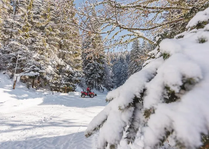 Rogla Jurgovo - In Out Lägenhet *