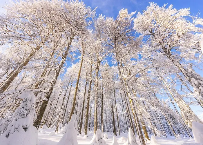 Rogla Jurgovo - In Out * Lukanja