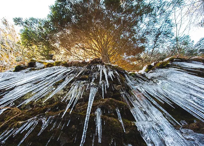 Lägenhet Rogla Jurgovo - In Out Lukanja