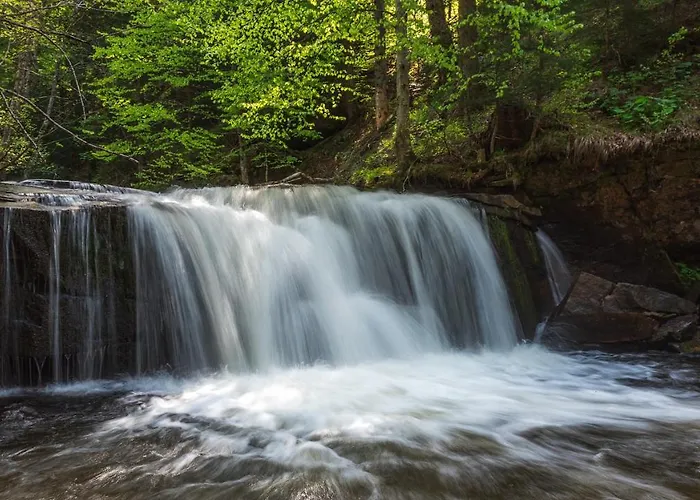Lägenhet Rogla Jurgovo - In Out *