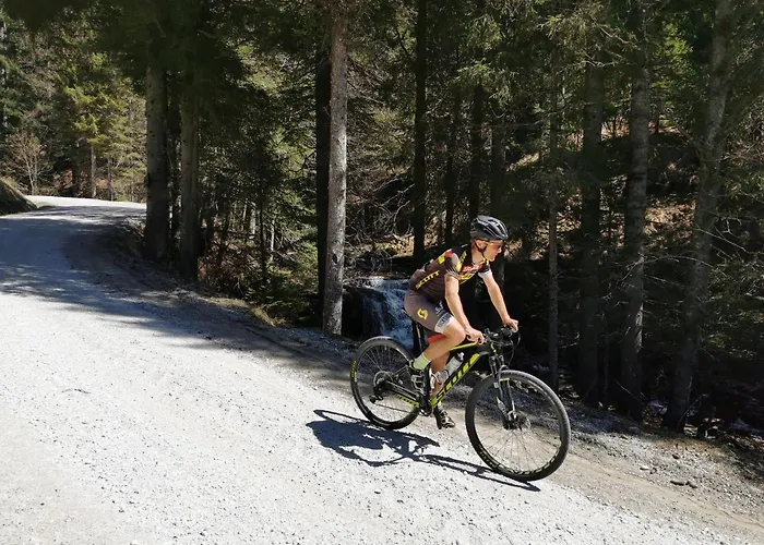 Rogla Jurgovo - In Out *