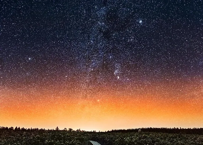 Rogla Jurgovo - In Out * Lukanja