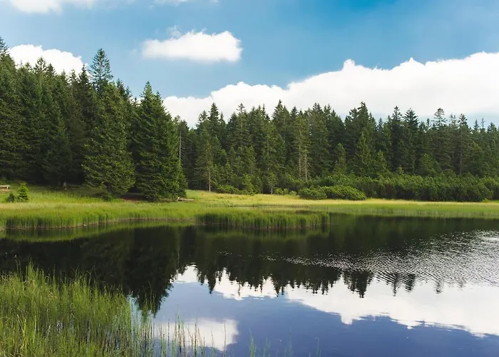 Rogla Jurgovo - In Out Lägenhet