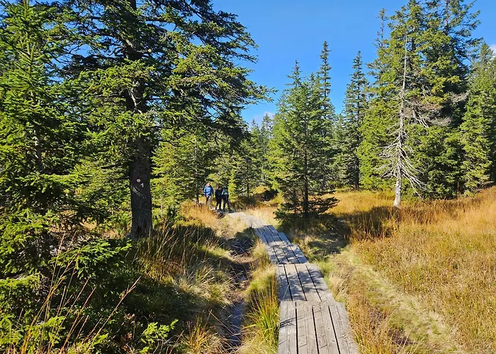 Lägenhet Rogla Jurgovo - In Out Lukanja