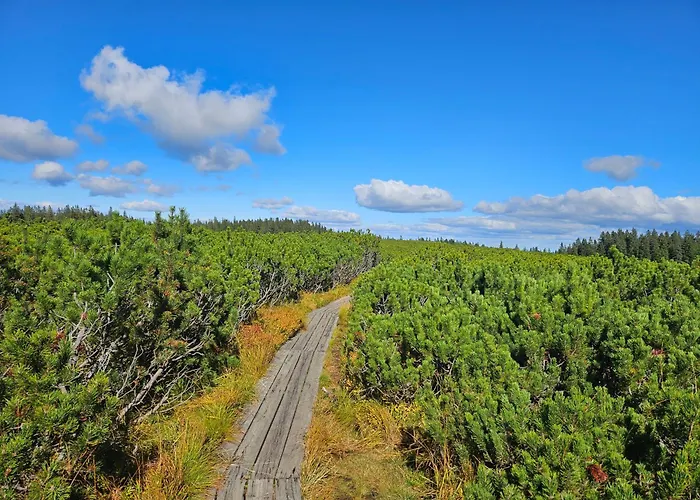 Rogla Jurgovo - In Out Lukanja