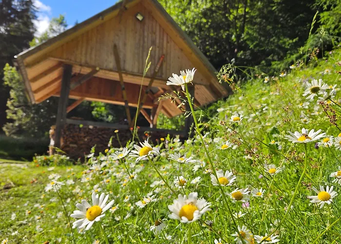 Rogla Jurgovo - In Out Lägenhet