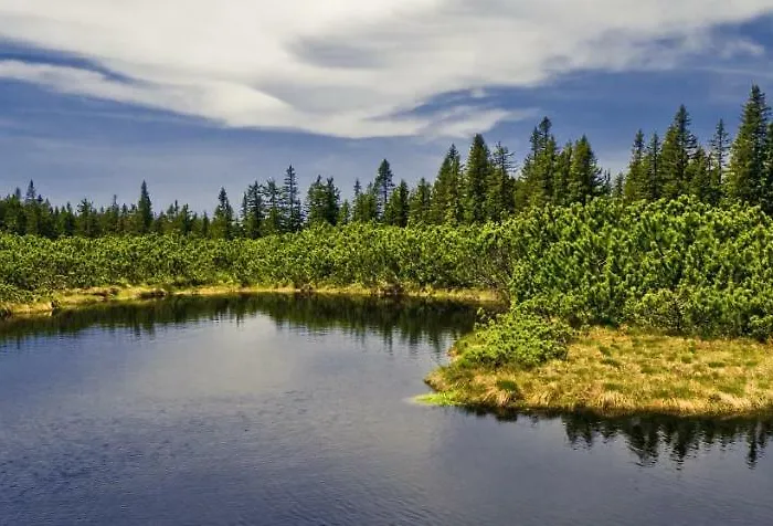 Διαμέρισμα Rogla Jurgovo - In Out Lukanja