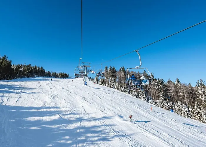 Rogla Jurgovo - In Out Lukanja