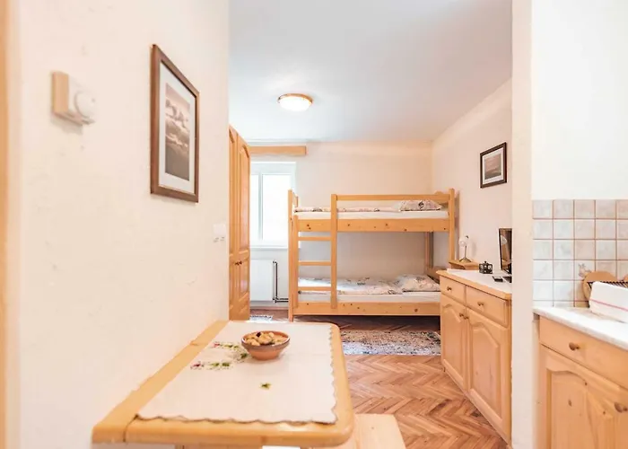 Διαμέρισμα Rogla Jurgovo - In Out