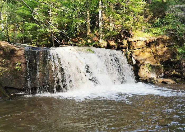 Rogla Jurgovo - In Out *