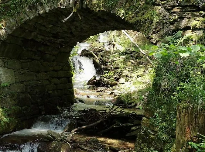 Lägenhet Rogla Jurgovo - In Out