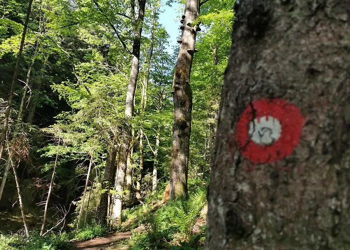 Διαμέρισμα Rogla Jurgovo - In Out Lukanja