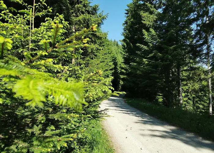 Lägenhet Rogla Jurgovo - In Out Lukanja